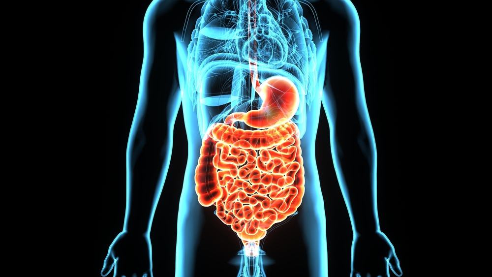 The Abdomen in critical care Part IV(025)